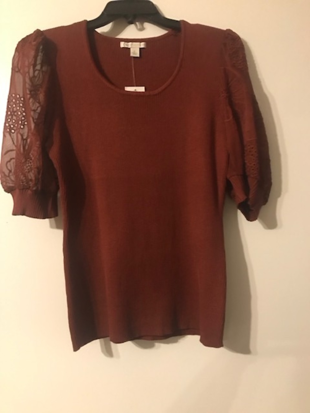 Rust Brown Puff Sleeve Knit Top